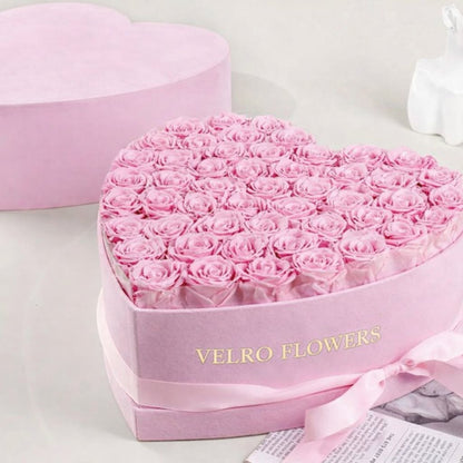 VELRO BLUSH HEART 50