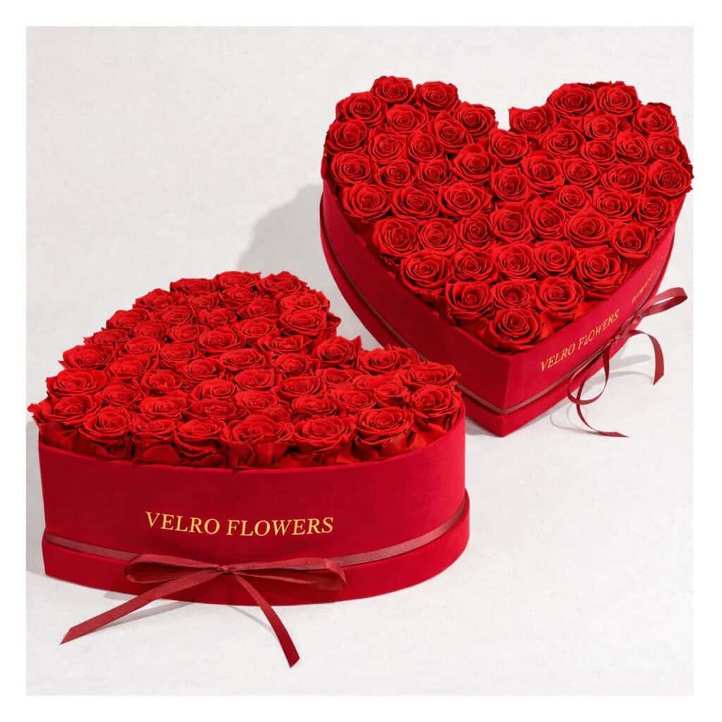 VELRO AMORE 50