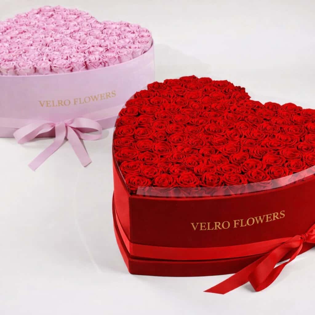 VELRO BLUSH HEART 50