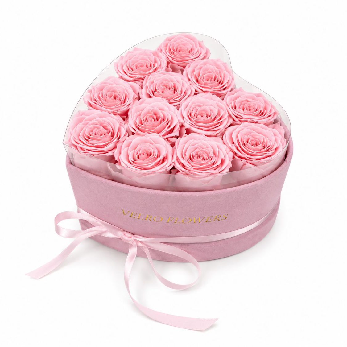 VELRO BLUSH 12