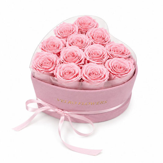 VELRO BLUSH 12