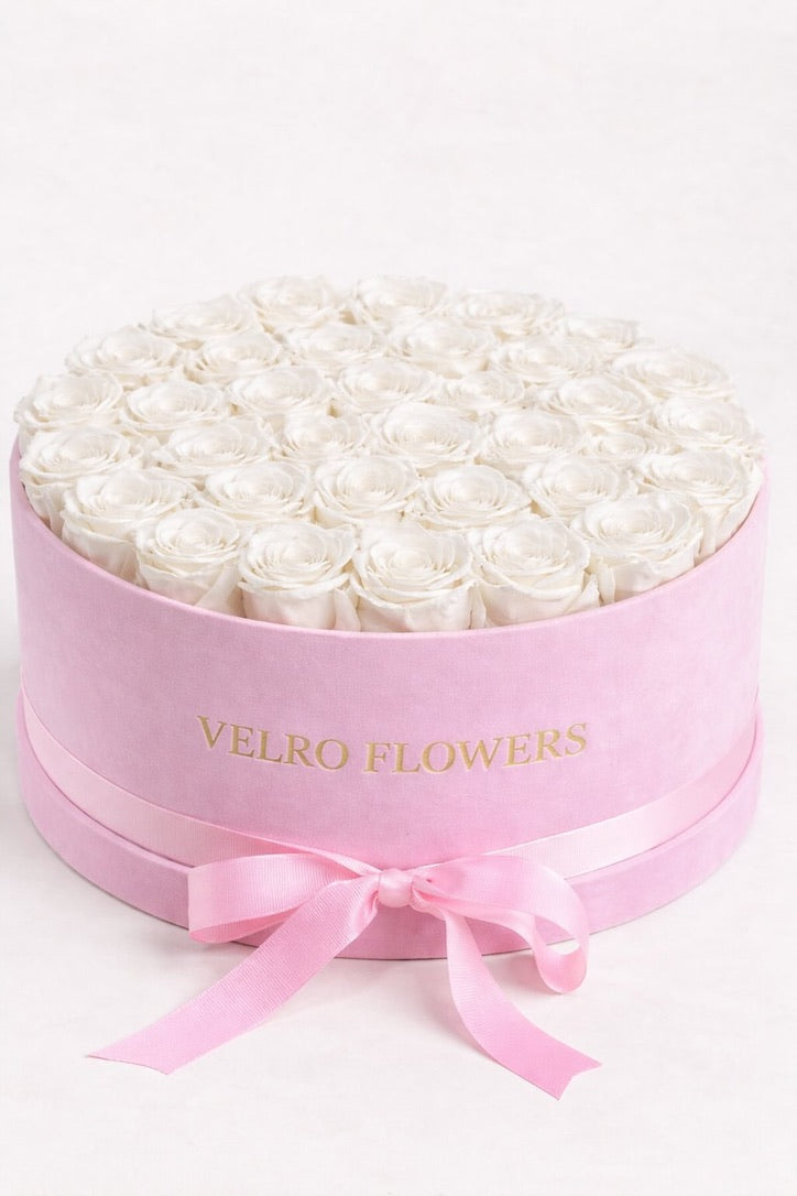 VELRO IVORY 50 WITH INITIAL