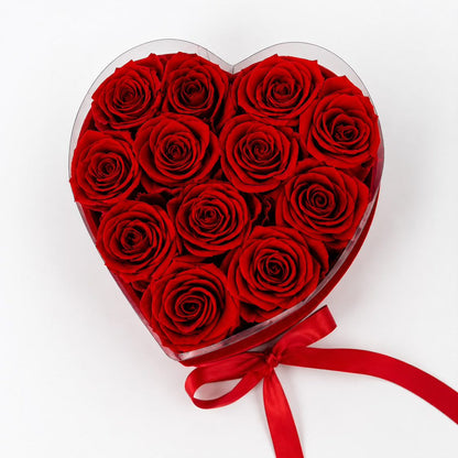 VELRO AMORE 12