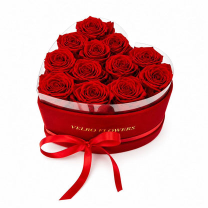 VELRO AMORE 12