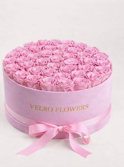 VELRO BLUSH 50 WITH INITIAL