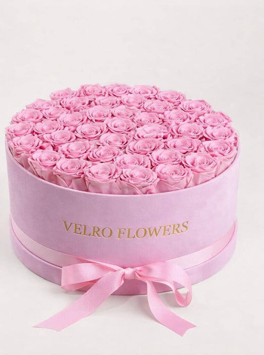 VELRO BLUSH 50 WITH INITIAL